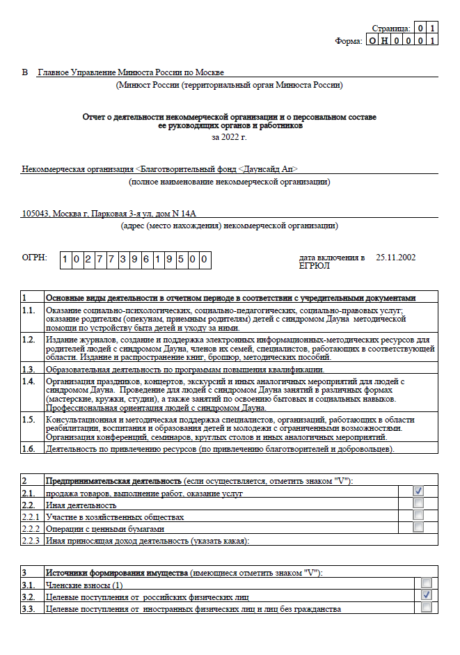 Годовой отчет 2022 года в Минюст РФ (часть 1)